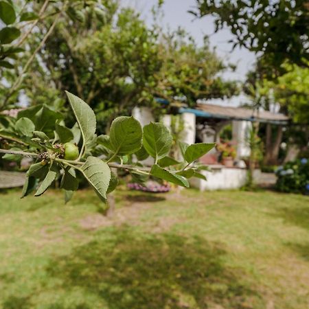 Le Querce Villa Procida Ngoại thất bức ảnh