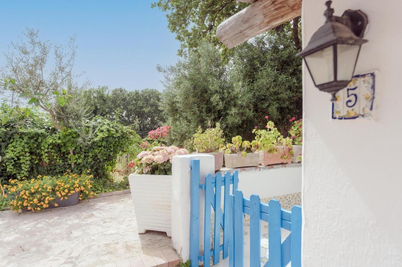 Le Querce Villa Procida Ngoại thất bức ảnh