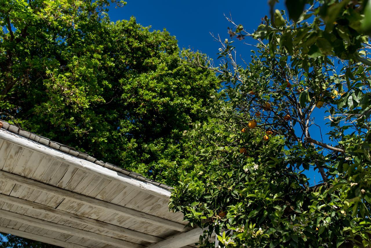 Le Querce Villa Procida Ngoại thất bức ảnh
