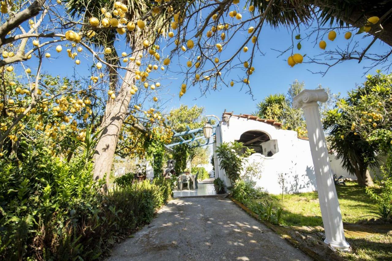 Le Querce Villa Procida Ngoại thất bức ảnh