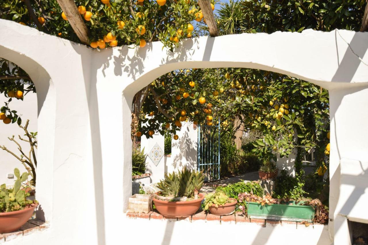Le Querce Villa Procida Ngoại thất bức ảnh