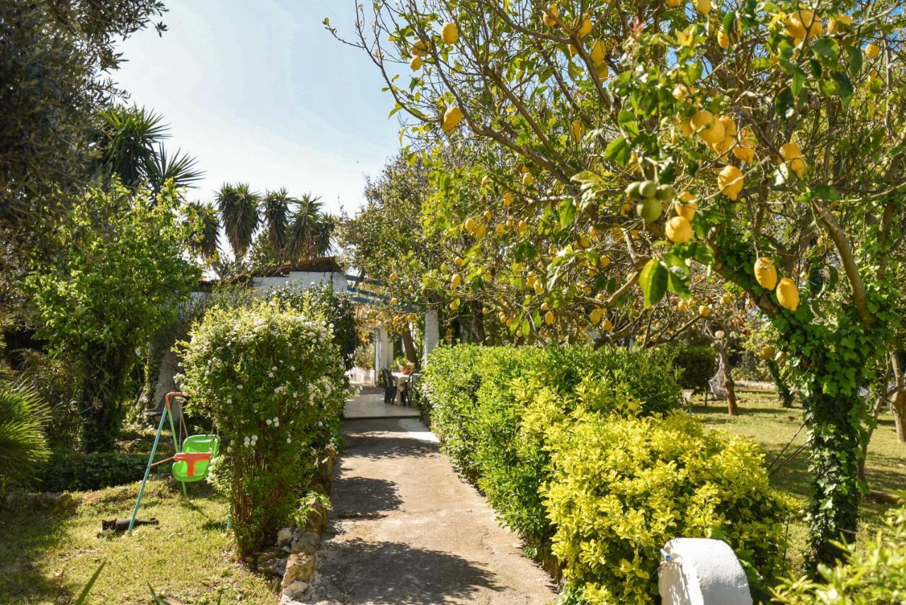 Le Querce Villa Procida Ngoại thất bức ảnh