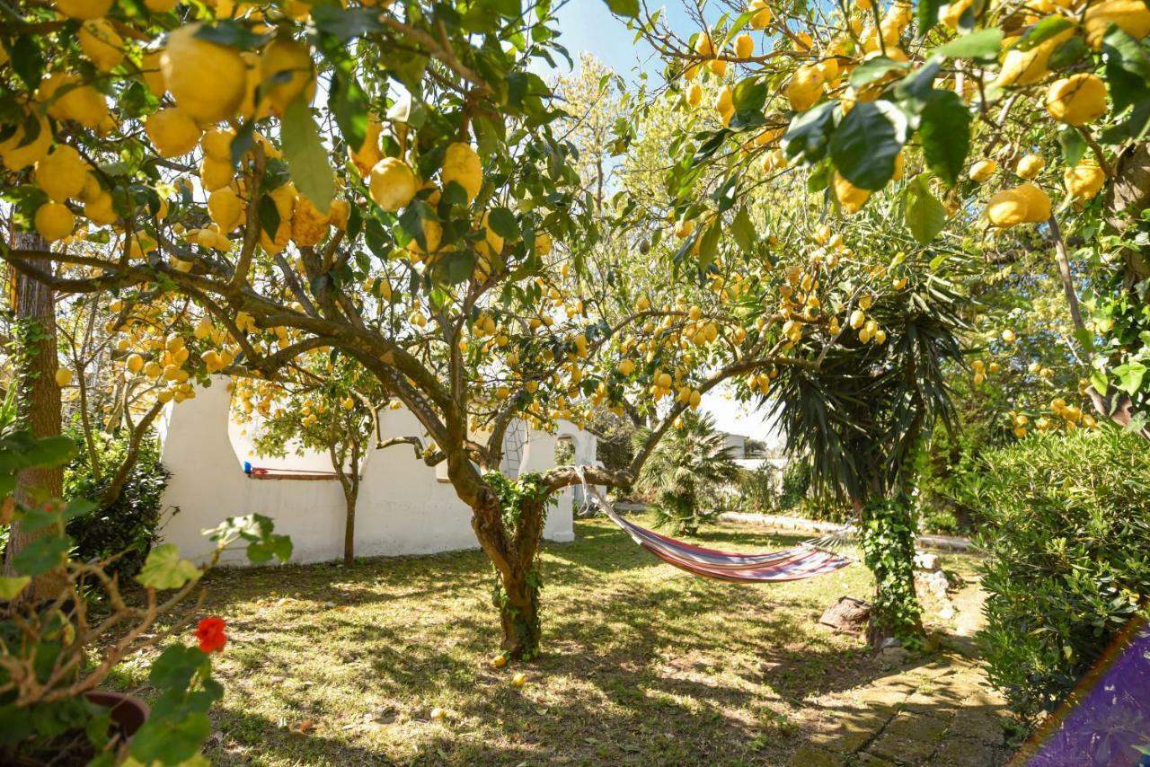 Le Querce Villa Procida Ngoại thất bức ảnh