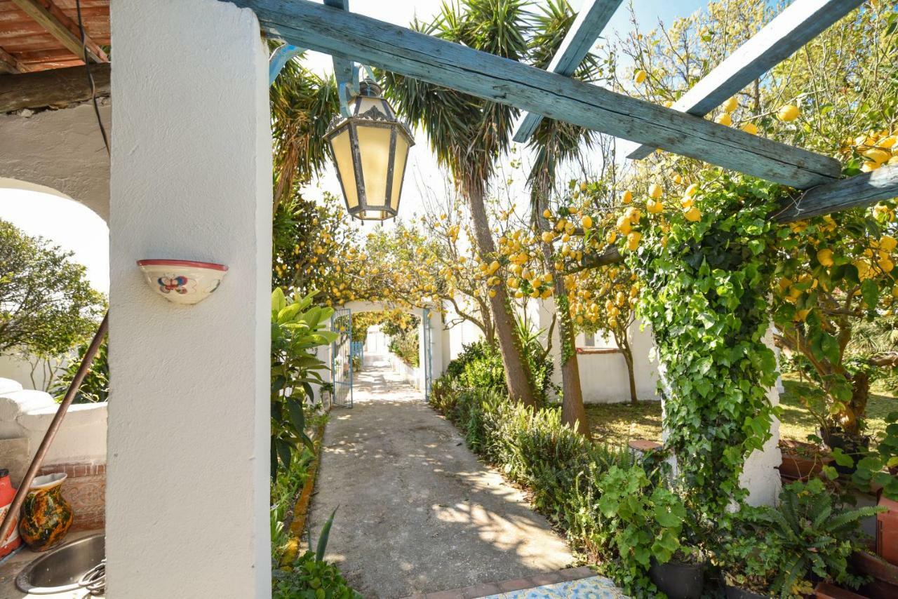 Le Querce Villa Procida Ngoại thất bức ảnh